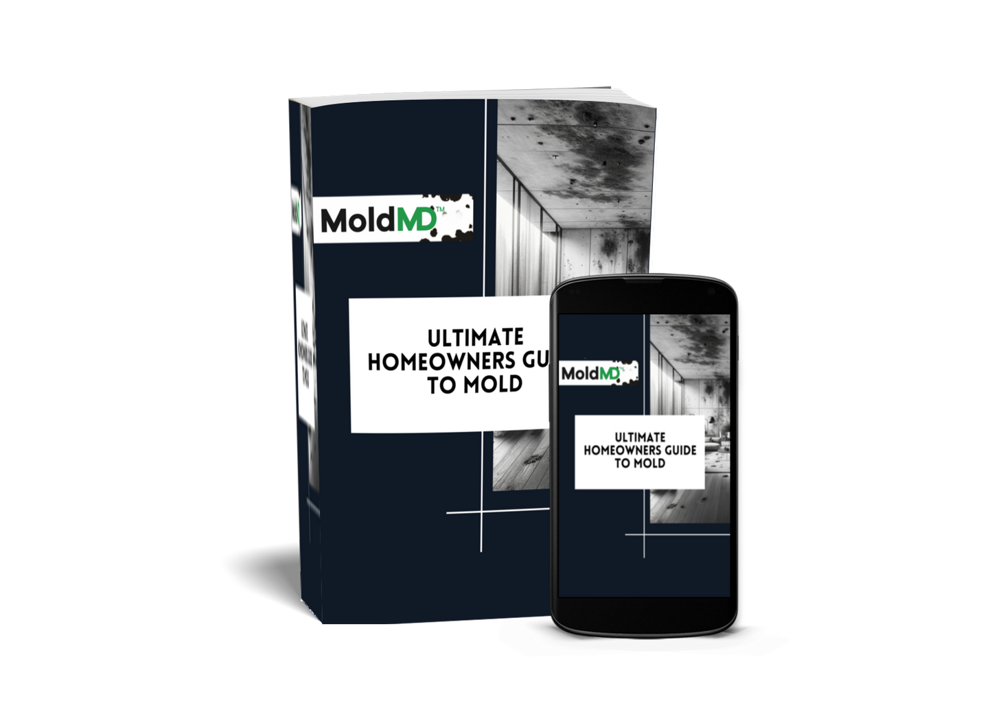Ultimate Homeowners Guide to Mold