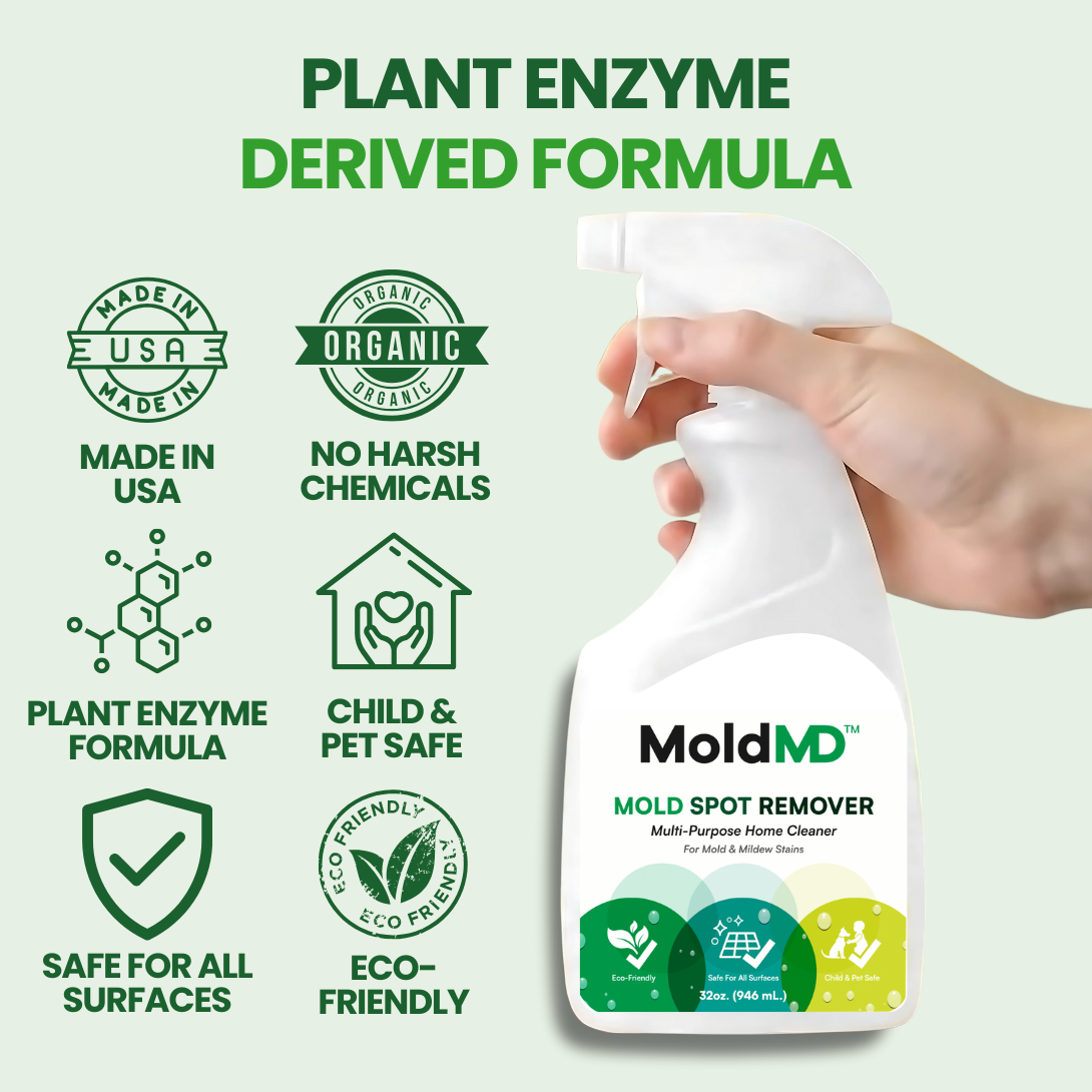 MoldMD Mold Spray