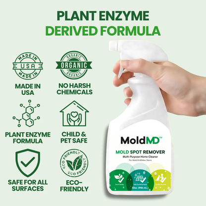 MoldMD Mold Spray