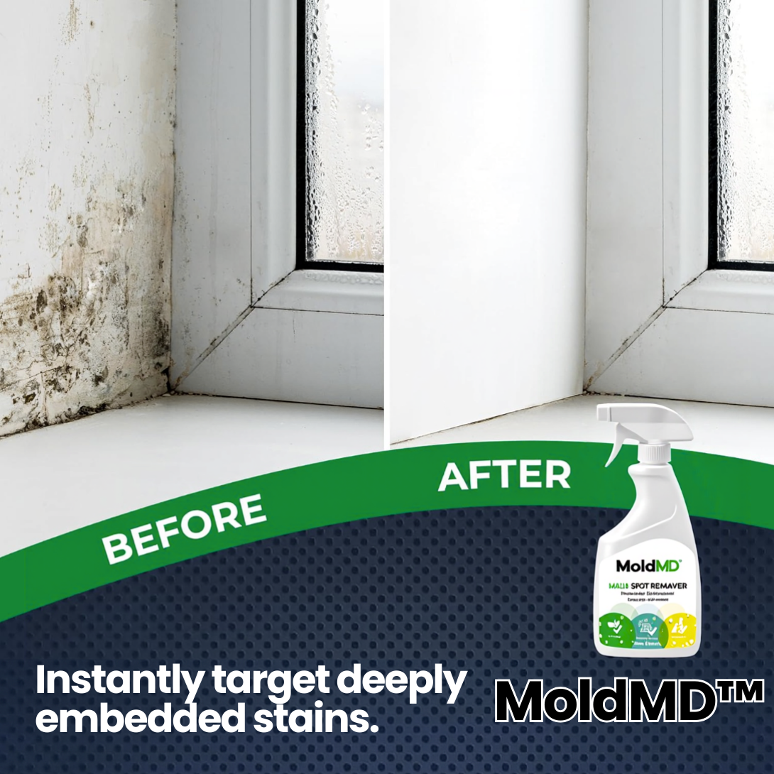 MoldMD Mold Spray