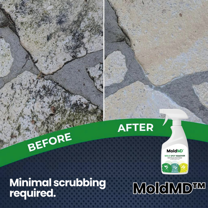 MoldMD Mold Spray