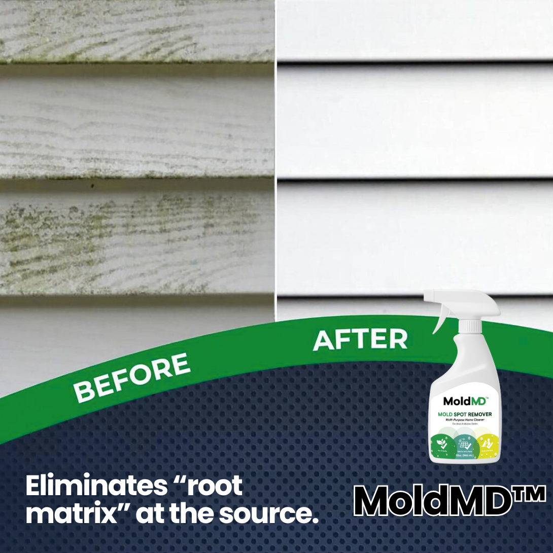 MoldMD Mold Spray