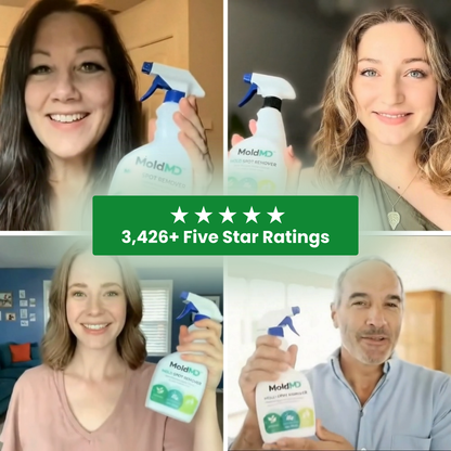 MoldMD Mold Spray